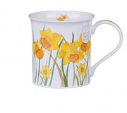 Dunoon - Daffodils