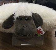 Cushions - Fluffy Sheep Black Face