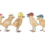 Dcuk - Garden Birds