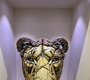 Edge Sculpture - Lioness Bust Yuna