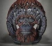 Edge Sculpture - Orangutan Bust