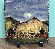 Gareth Lloyd-Hughes - Mole Slate