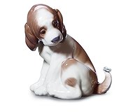 Llaro - Gentle Surprise